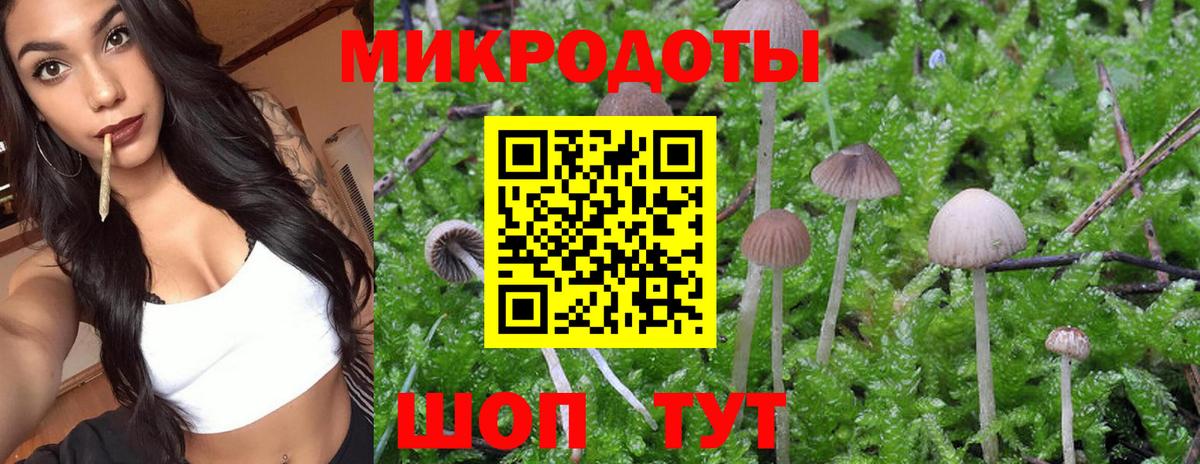 Ейск  Галлюциногенные грибы Psilocybine cubensis  Вход с VPN  Галлюциногенные грибы Magic Shrooms 